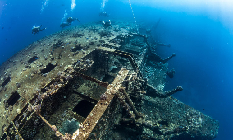 Salem Express Wreck Dive